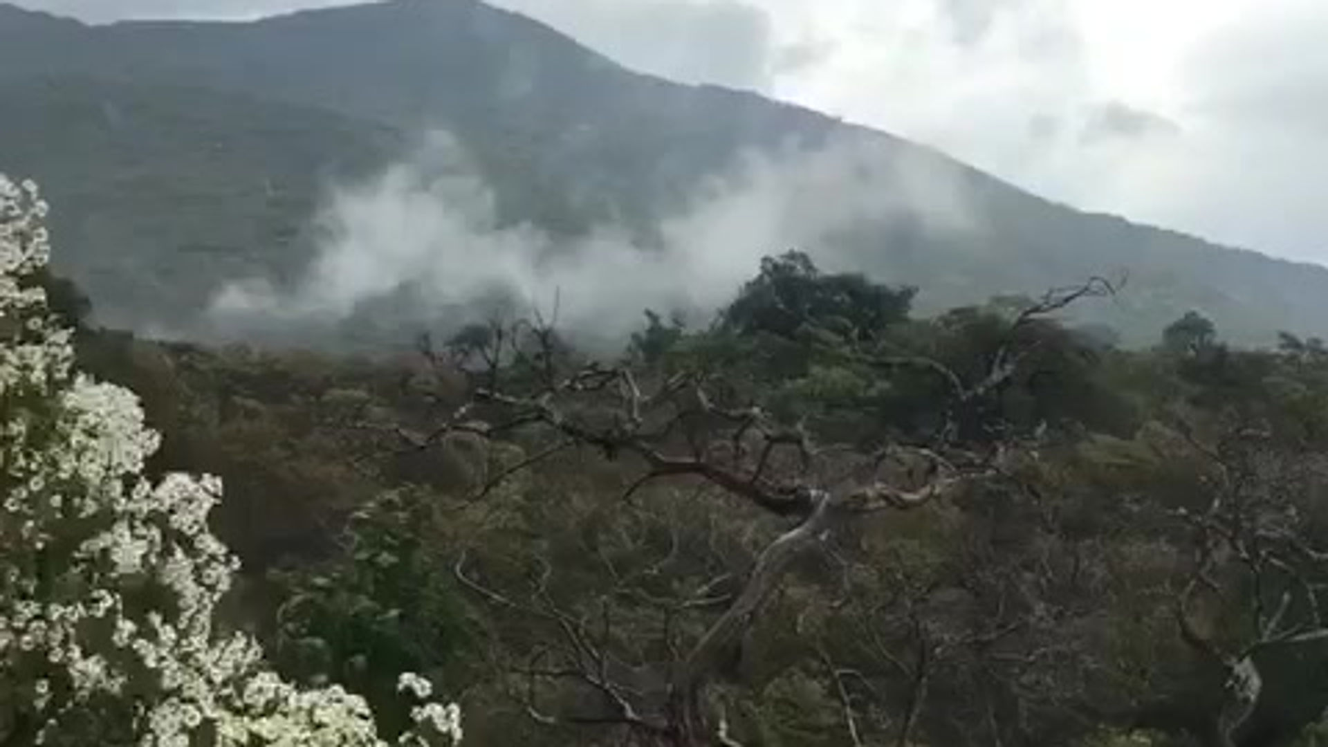 Todos los videos